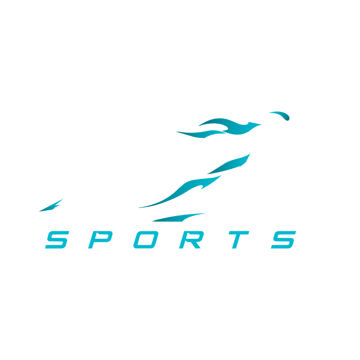 The 10K Sports Race